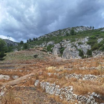 Vue partie haute du terrain