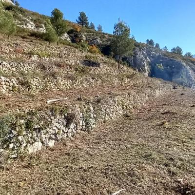 Vue laterale du terrain - Février 2022