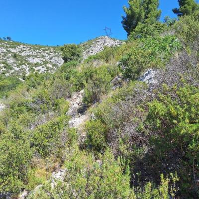 Terrain domanial au dessus de ma propriété
