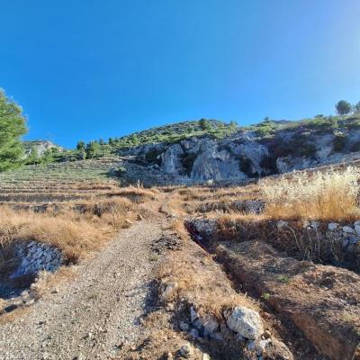 Carraire de montée vers la colline